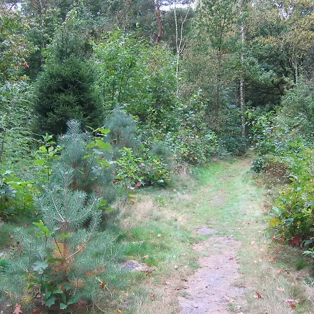 אכסניה Nvh De Bosbeek *