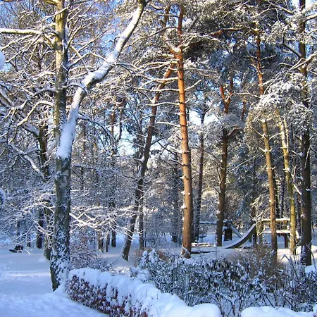 Nvh De Bosbeek Albergue *