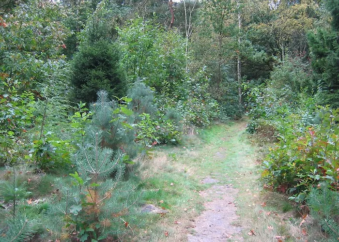 Vandrarhem Nvh De Bosbeek *