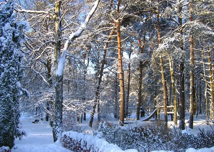 Nvh De Bosbeek Vandrarhem *